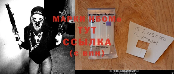 прущие грибы Баксан