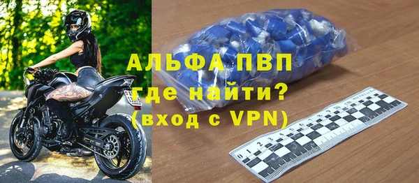 прущие грибы Баксан