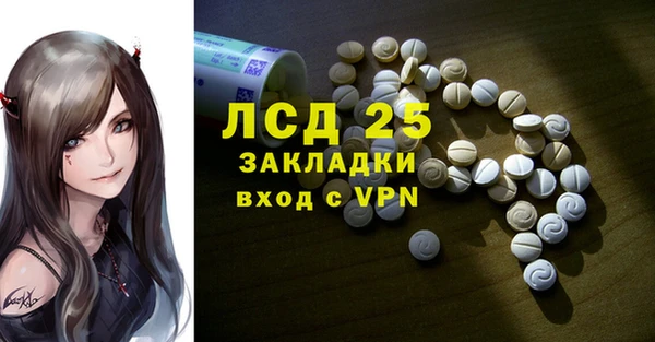 прущие грибы Баксан