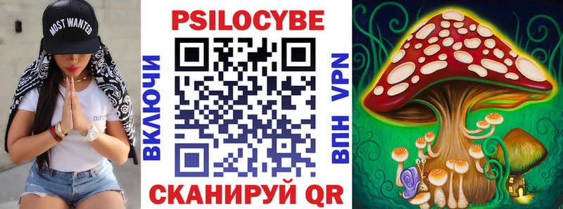 blacksprut рабочий сайт Новохопёрск Галлюциногенные грибы ЛСД